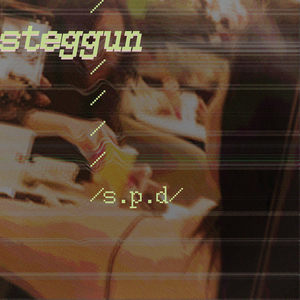 Steggun