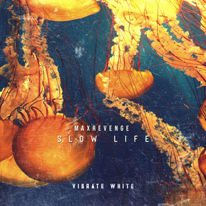 Slow Life (Extended Mix)