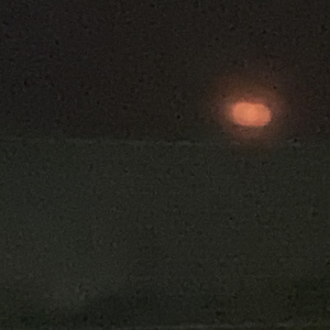 为了你放弃说书，结果你却爱上了别人