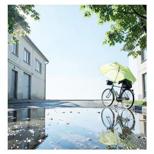 雨上がり