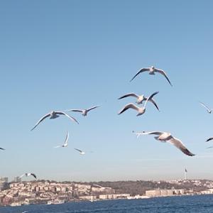 Gözlerinde Buldum Kendimi (feat. Raci Akça)