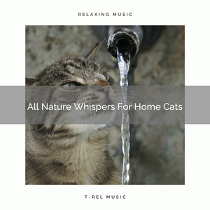 Relaxing Sea Sounds Especially For Our Cats