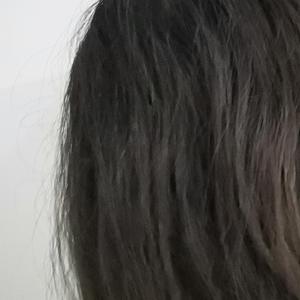 林中的小雪