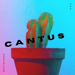 Cantus