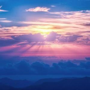 张芸京-偏爱（小紫都 remix）