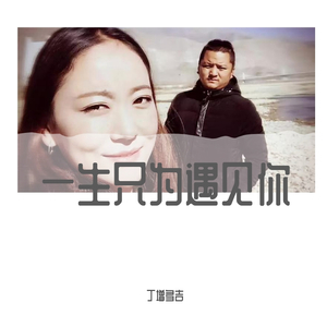 一生只为遇见你