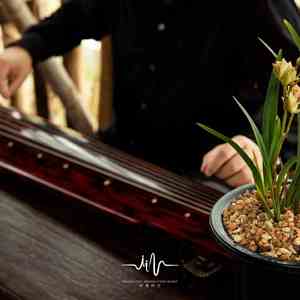 红颜未老 (减压助眠古琴曲)