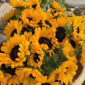 【FREE】R&B-夏日来临 signals of the summer RNB piano