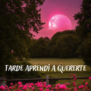 Tarde Aprendí a Quererte
