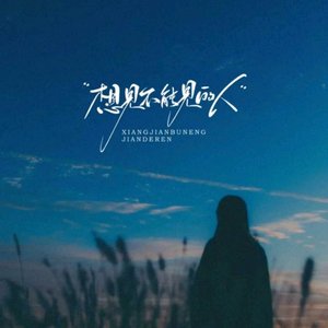 想见不能见的人(你是我做梦都想娶的人)