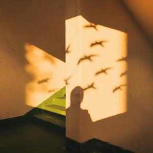 让我也借着你的眼睛看月亮