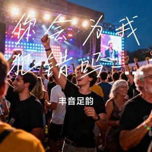 你会为我犯错吗 DJ (Cover 张信哲)