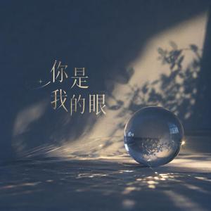 你是我的眼
