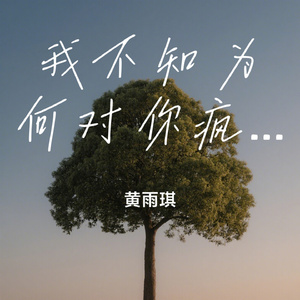 我不知为何对你疯狂执着