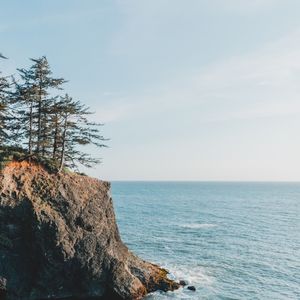 一尘不染做梦印象数