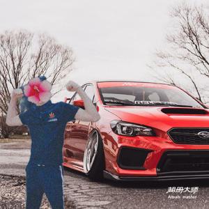 онтанчикС Дельфином