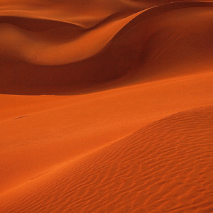 Low Dunes
