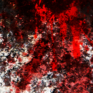 Fungus