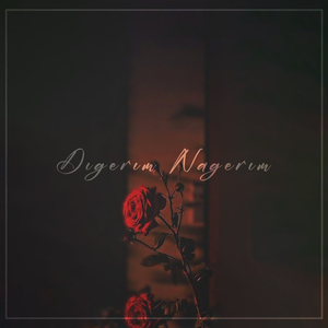 Dıgerım Nagerım