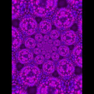 in the eye of the storm