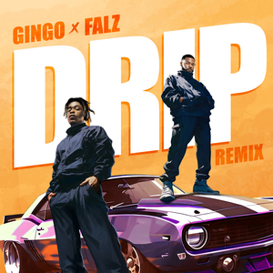 Drip (Remix)