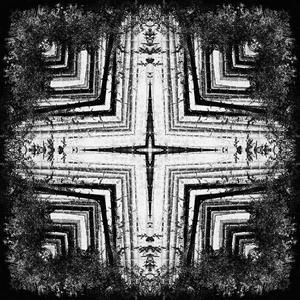 Lunar Cycle of Regret