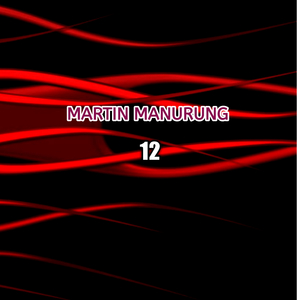 MARTIN MANURUNG 12