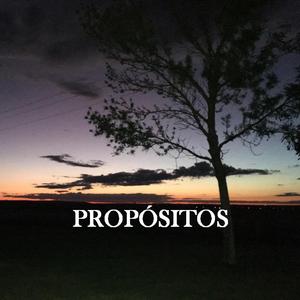 Propósitos