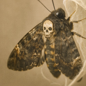 Last Breath through Copper Wire