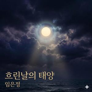 흐린 날의 태양