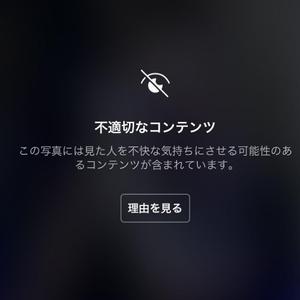 小雾猫