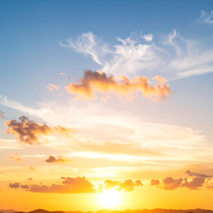 やわらかな日々がとどまる場所