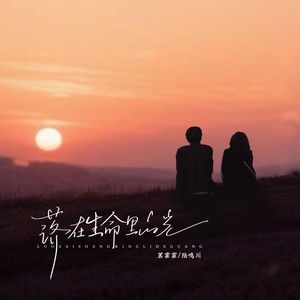 落在生命里的光