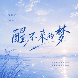 醒不来的梦