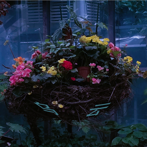 蒲公英（Prod EVOMUSIC）