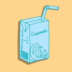 Ciegamente