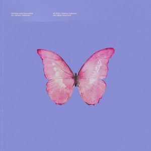 旅行中忘记（Cover：袁婭維）