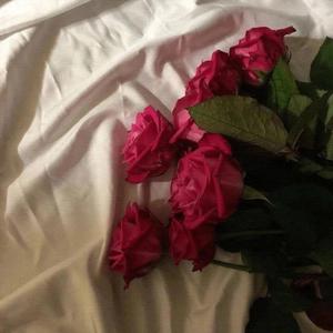 这只伶俐的棕色狐狸跳过一只懒惰的狗