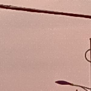 原来2021年真的没有秋天