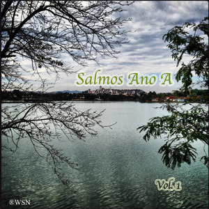 Salmo 118: 6° Domingo do TC Ano A