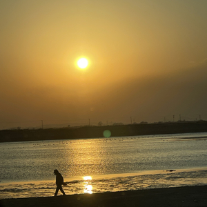 清风满怀_2315682.wav