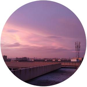 化身孤岛的鲸
