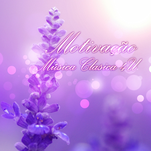 Serenade in C Major for Strings, Op. 48: I. Pezzo in forma di sonatina, Andante non troppo - Allegro moderato