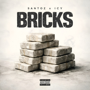 BRICKS