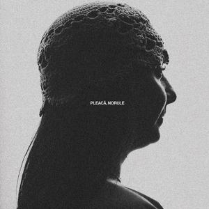 Pleacă, Norule