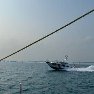 平凡一年，乐观向前