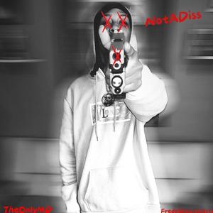 NotADiss