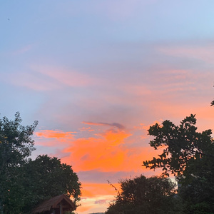 算了 cover万妮达