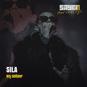 Kış Geliyor (Saygi1)