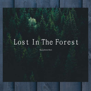 Lost In The Forest